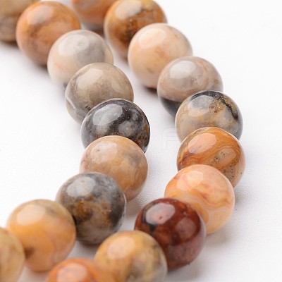 Round Natural Crazy Lace Agate Bead Strands G-J346-07-6mm-1