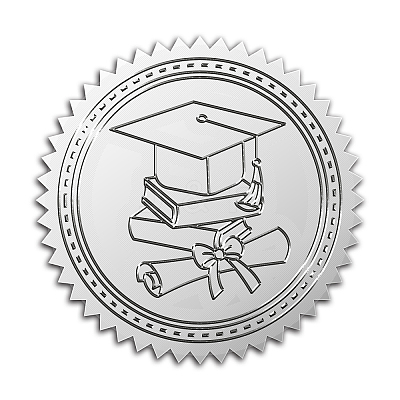 Plastic Silver Foil Embossed Picture Sticker DIY-WH0336-003-1