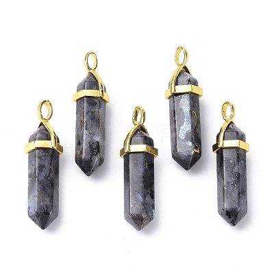 Natural Larvikite Pointed Pendants G-G025-01G-21-1