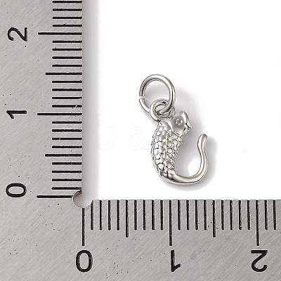 Rack Plating Brass Pendants KK-B092-06P-1