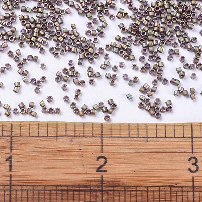 MIYUKI Delica Beads Small SEED-X0054-DBS0380-1