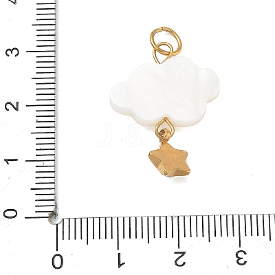 304 Stainless Steel Acrylic Pendants RB-CBA4D1F-13G-A-1