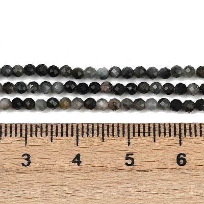 Natural Eagle Eye Stone Beads Strands G-RM250101-E6-1