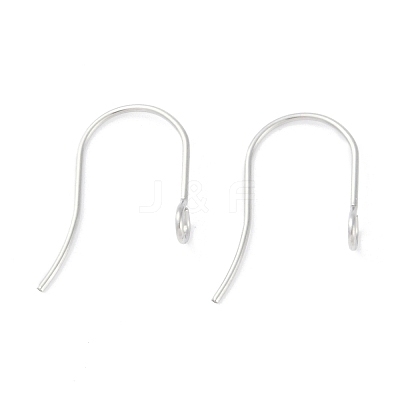 Tarnish Resistant 316 Surgical Stainless Steel Earring Hooks STAS-P162-13P-B01-1