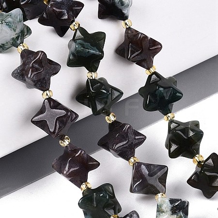 Natural Indian Agate Beads Strands G-Q608-07A-05-1