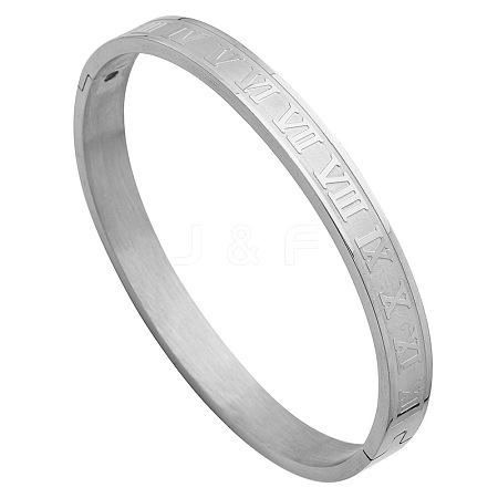 Titanium Steel Bangles PW-WG574DC-02-1