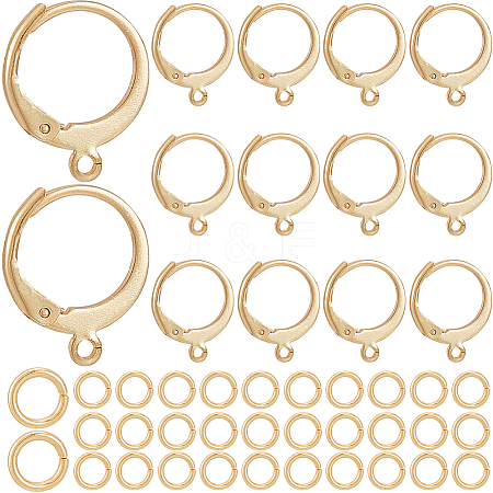 SOFPLATE 80Pcs 304 Stainless Steel Leverback Earring Findings STAS-SP0001-16-1