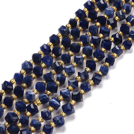 Natural Sodalite Beads Strands G-P463-03-1