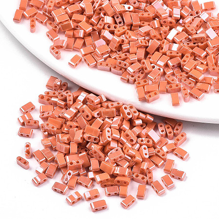 FGB 2-Hole Glass Seed Beads SEED-S031-M-SH130-1