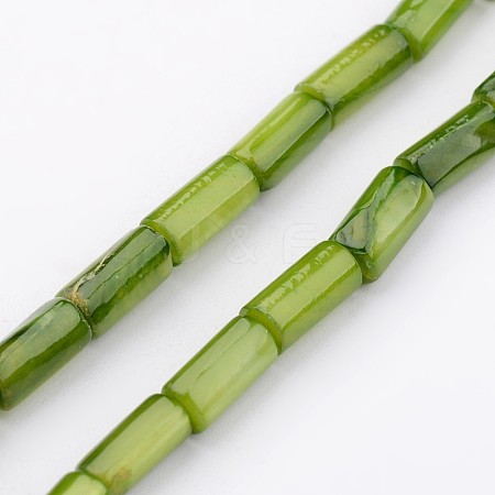 Natural Shell Bead Strands X-BSHE-P016-16-1