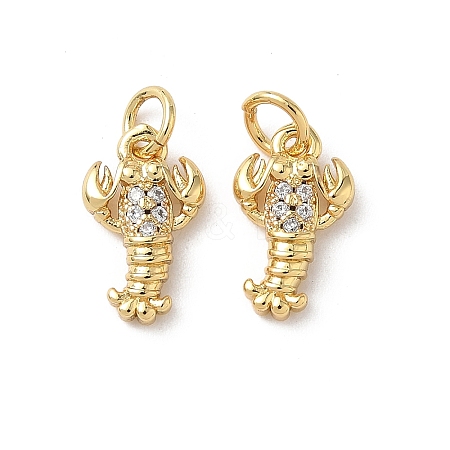 Brass Micro Pave Cubic Zirconia Charms KK-D502-26M-G-1