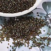 MIYUKI Delica Beads SEED-X0054-DB1741-1