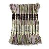 10 Skeins 6-Ply Polyester Embroidery Floss OCOR-K006-A78-1