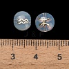 Handmade Lampwork Beads LA-CBADB44-01-3