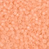 FGB Frosted Transparent Glass Seed Beads SEED-N013-02A-04-3