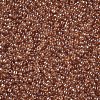 12/0 Grade A Round Glass Seed Beads SEED-Q011-F501-2