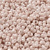 Glass Seed Beads SEED-K009-02A-01-3