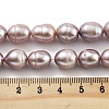 Natural Cultured Freshwater Pearl Beads Strands  PEAR-P062-13F-X-5