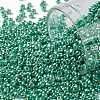 TOHO 11/0 Round Beads SEED-TR11-PF0561-1