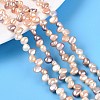 Natural Cultured Freshwater Pearl Beads Strands PEAR-N014-04P-1