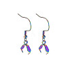 Rainbow Color 304 Stainless Steel Earring Hooks STAS-N098-023-2