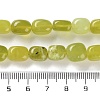 Natural Lemon Jade Beads Strands G-P497-01D-04-5