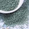 MIYUKI Round Rocailles Beads X-SEED-G007-RR3511-1