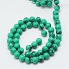 Dyed Synthetic Turquoise Bead Strands G-T053-10mm-02-2