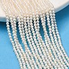 Natural Cultured Freshwater Pearl Beads Strands PA-CBABE82-08B-1