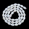 Opaque Solid Color Electroplate Glass Beads Strands LS-EGLA-N013-J8mm-B03-2