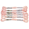 6Skeins Polyester Metallic Embroidery Threads PW-WGA13F3-10-1