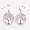 Dangle Earrings EJEW-N0030-02-1