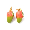 Alloy Enamel Pendants FIND-O003-10D-MG-1