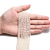Natural Cultured Freshwater Pearl Beads Strands PEAR-N024-04-4AB-5