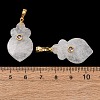 Natural Quartz Crystal Pendants G-P628-05G-07-3