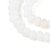 Natural Freshwater Shell Beads Strands SHEL-N038-30-3
