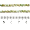 Natural Chrysoprase Beads Strands G-XCP0001-28-5