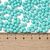 6/0 Opaque Baking Paint Glass Seed Beads X1-SEED-M012-02A-01-4