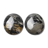 Natural Dendritic Jasper Cabochons X-G-F608-02A-01-3