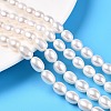 Natural Pearl Beads Strands PEAR-N012-07U-1-1