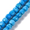 Natural Howlite Beads Strands G-G001-B02-04-1