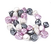 Electroplated Shell Pearl Beads Strands BSHE-D301-02A-2