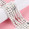 Natural Howlite Beads Strands G-D0003-A93-2