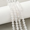 Natural Rainbow Moonstone Beads Strands G-I249-B04-05-6