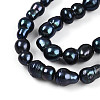Natural Nucleated Baroque Keshi Pearl Beads Strands PEAR-S020-F13-4