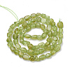 Natural Peridot Beads Strands G-S339-15-2
