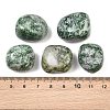 Natural Green Spot Jasper Beads GG-CBAD0F6-B02-01-2