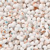 Baking Paint Glass Seed Beads SEED-F005-01A-04-3