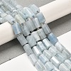 Natural Aquamarine Beads Strands G-N327-06-33-2