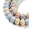 Natural Rainbow Alashan Agate Beads Strands G-NH0022-M01-01-4